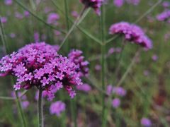 -杭州城北体育公园