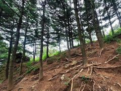 -妙峰山风景名胜区