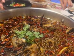 -味之绝热血美蛙鱼火锅(中坝店)