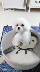 -肌理言健康美肌驻颜所