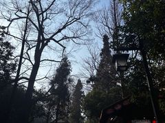-灵隐飞来峰景区