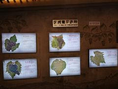 -青岛葡萄酒博物馆