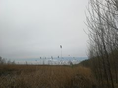 -白洋淀景区