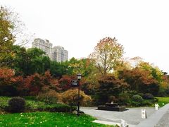 上海瑞金洲际酒店-上海瑞金洲际酒店