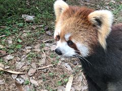 -柳州市动物园