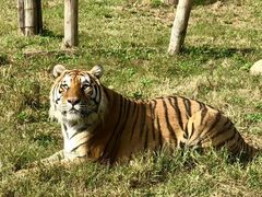 -沈阳森林动物园