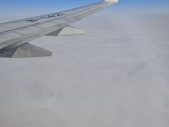 -张关合渣(航空大道店)