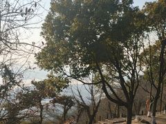 -虞山风景区