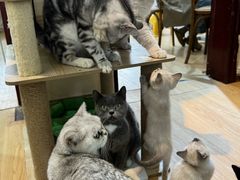 -觅时光手作·香薰·拼豆豆·陶艺DIY