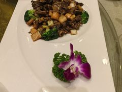 -新疆巴州金丝特餐厅(大钟寺店)