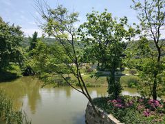 -龙寺生态园