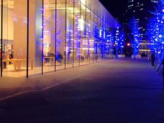 -Apple零售店(华贸购物中心店)