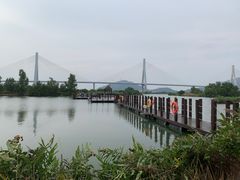-芒洲湿地公园