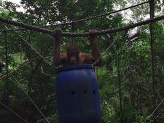 -广州长隆野生动物世界