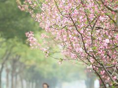 -阳澄湖半岛旅游度假区
