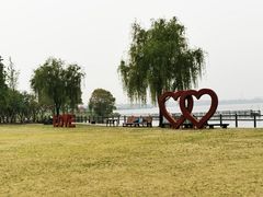 -鹅湖玫瑰文化园