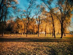 -长春市南湖公园