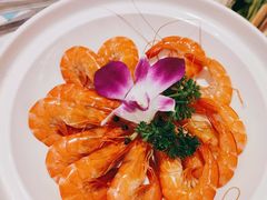 深海甜虾-若爱猪肚鸡·啫啫煲(循礼门M+店)