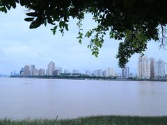 -江心屿景区