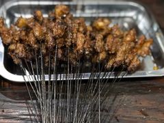 -清真·马峰烤肉(小学习北巷店)