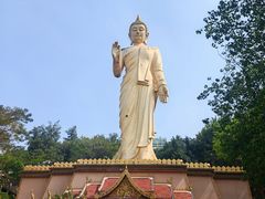 -西双版纳勐泐文化旅游区