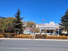 -西藏自治区图书馆