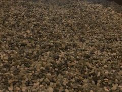 -沐泷泉(南风大剧院店)