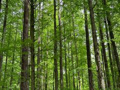 -山王坪喀斯特国家生态公园