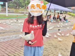 -飞来湖湿地公园