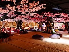 -蓝鲸湾汤泉(包河店)