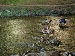 -长白岛森林公园