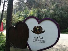 -铁山坪森林公园