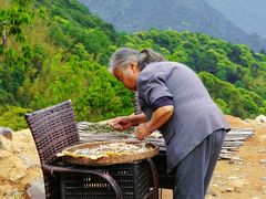-江南天池