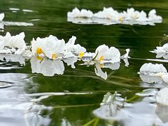 -丽江泸沽湖景区