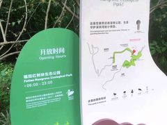 -福田红树林生态公园