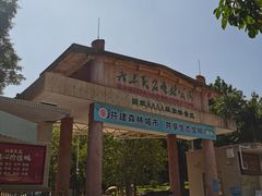 -广东茂名森林公园