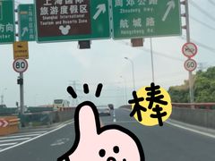 -迪士尼乐园停车场