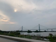 -芒洲湿地公园