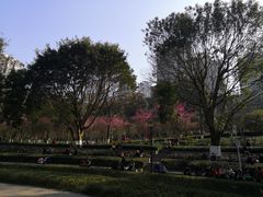 -龙头寺公园