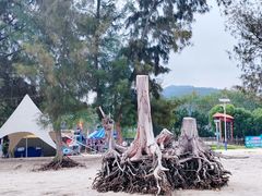 -巽寮印象美食部落餐厅·海鲜·地方特色菜(惠州体验店)