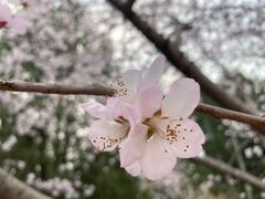 -北海公园
