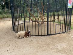 -前小桔亲子创意农场·草莓采摘·露营烧烤