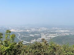-黄埔油麻山森林公园