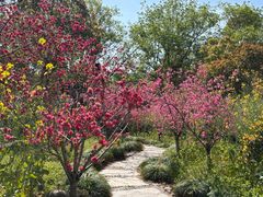 -南汇桃花村