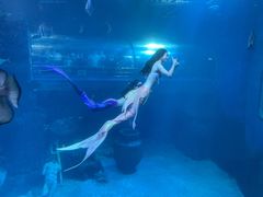 -太平洋海底世界