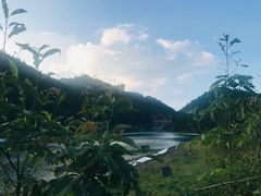 -武陵山森林公园