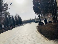 -青城公园