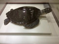 -青岛贝壳博物馆