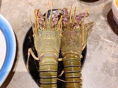 涮食小青龙-亚马逊蒸汽活海鲜自助(LCM置汇旭辉广场店)