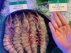 -南海渔村(珠江新城店)